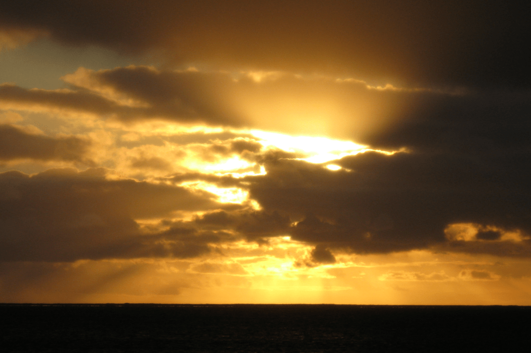 Abrolhos Big Rat Island sunrise.png
